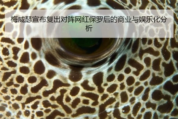 mei-wei-se-xuan-bu-fu-chu-dui-zhen-wang-hong-bao-luo-hou-de-shang-ye-yu-yu-le-hua-fen-xi-2-176.jpg
