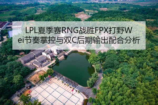 LPL夏季赛RNG战胜FPX打野Wei节奏掌控与双C后期输出配合分析